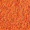 Bio Rote Linsen 5 kg