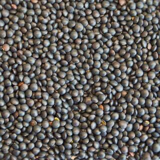 Bio Beluga Linsen 5 kg