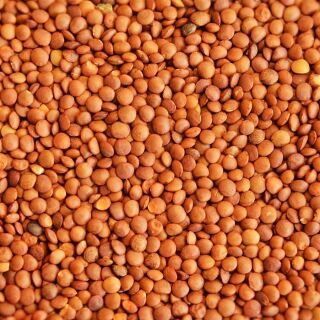 Bio Braune Berglinsen "Gourmet" 5 kg