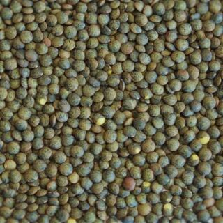 Bio Linsen grün 5 kg