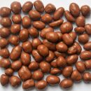 Bio Erdnüsse 1 kg in Vollmilchschokolade