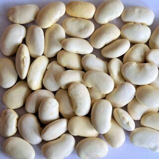 Bio Weisse Riesenbohnen 5 kg