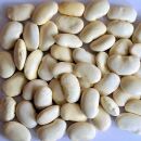 Bio Weisse Riesenbohnen 15 kg (3x5kg)