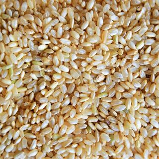 Bio Naturreis Rundkorn 25 kg (Italien)