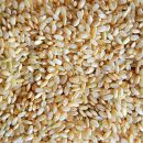 Bio Naturreis Rundkorn 25 kg (Italien)
