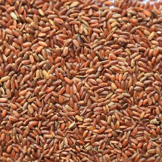 Bio Roter Reis 25 kg