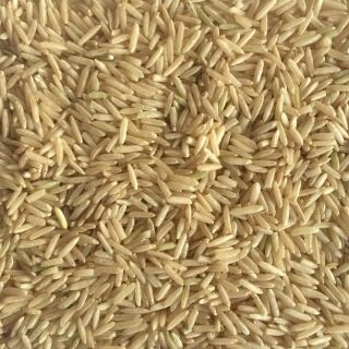 Bio Basmati Reis natur 25 kg (Vollkorn)