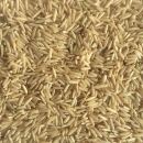 Bio Basmati Reis natur 25 kg (Vollkorn)