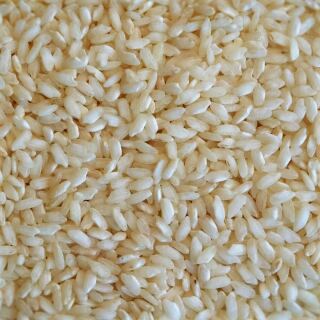 Bio Risottoreis weiss 25 kg