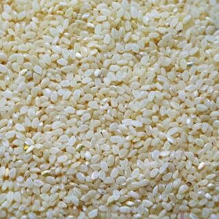 Bio Rundkorn Reis weiss 25 kg (Milchreis)