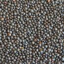 Bio Beluga Linsen 15 kg (3x5kg)