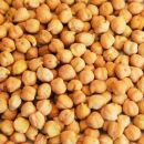 Bio Kichererbsen 15 kg (3x5kg)