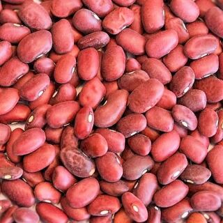Bio Red Kidney Bohnen 15 kg (3x5kg)