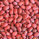 Bio Red Kidney Bohnen 15 kg (3x5kg)