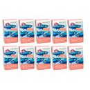 Thunfisch hell 40x120g naturell