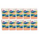 Thunfisch hell 20x120g in Bio Olivenöl