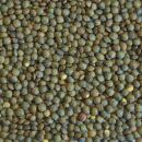 Bio Linsen grün 10 kg