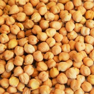 Bio Kichererbsen 10 kg