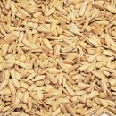 Sonnenblumenkerne Bakery (Europa) 25 kg